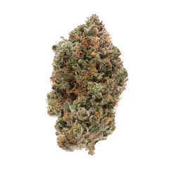 Albatross – Black Tuna