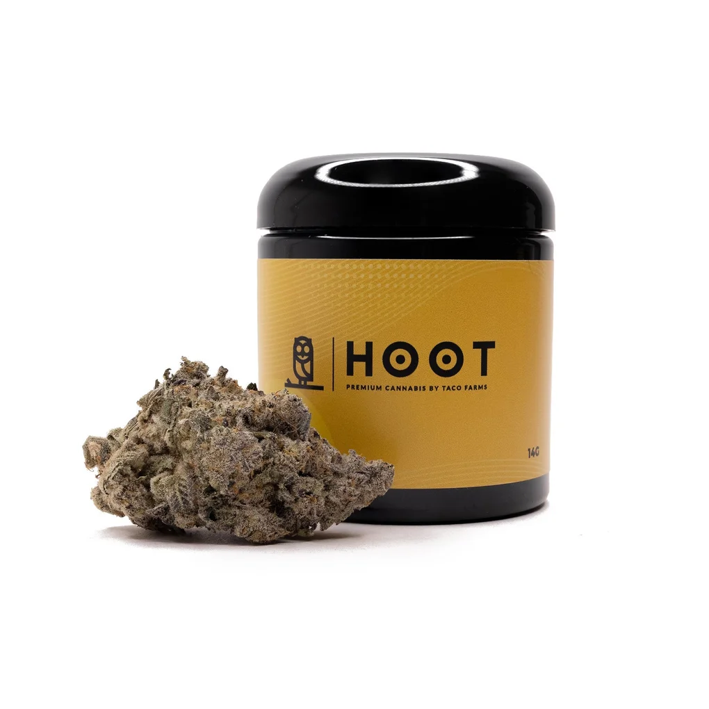 CakeBomb-Hoot-07