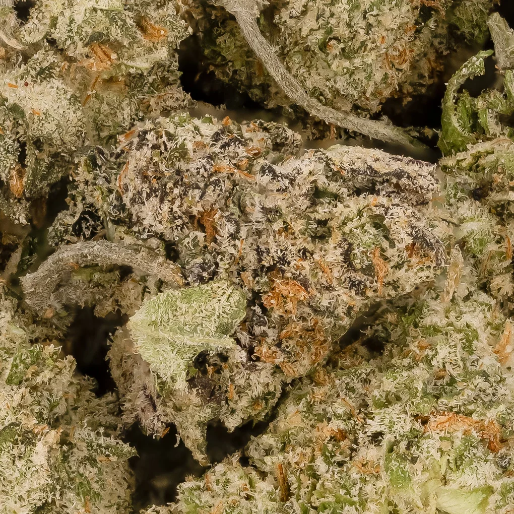 ChemdawgSmalls-LuckyFarmsSmalls-03