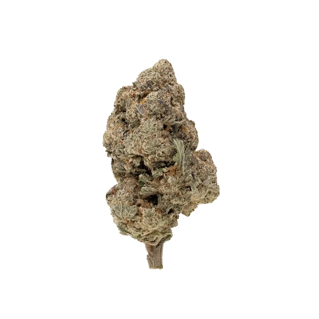 DonkeyGrease-03