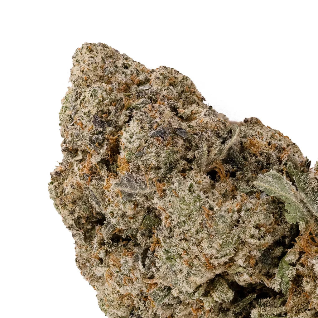 DonkeyGrease-04