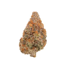 Hoot Cannabis – Grey Goose