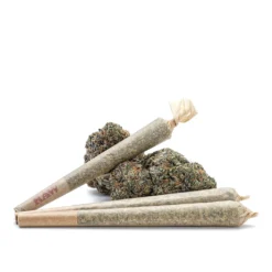 Hive – Pre-Roll (1g)