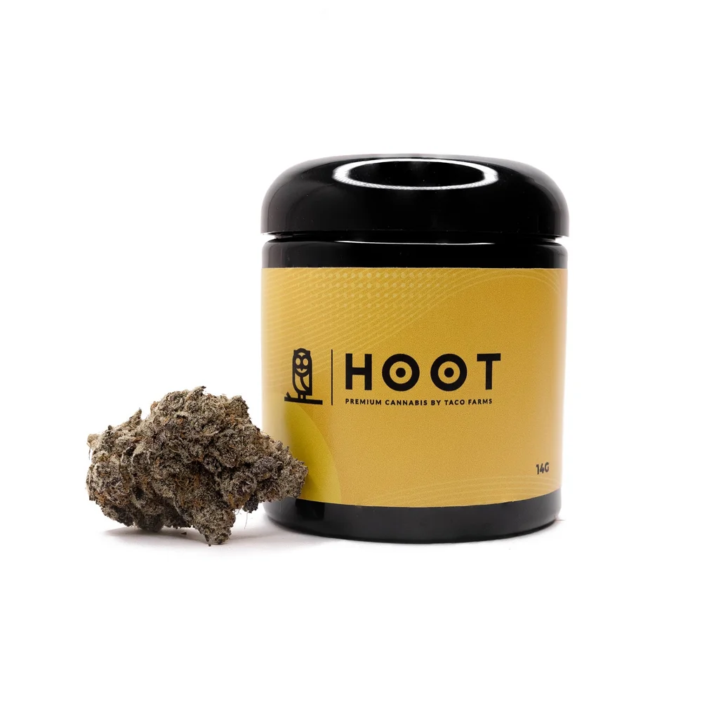 Slurricane-Hoot-01