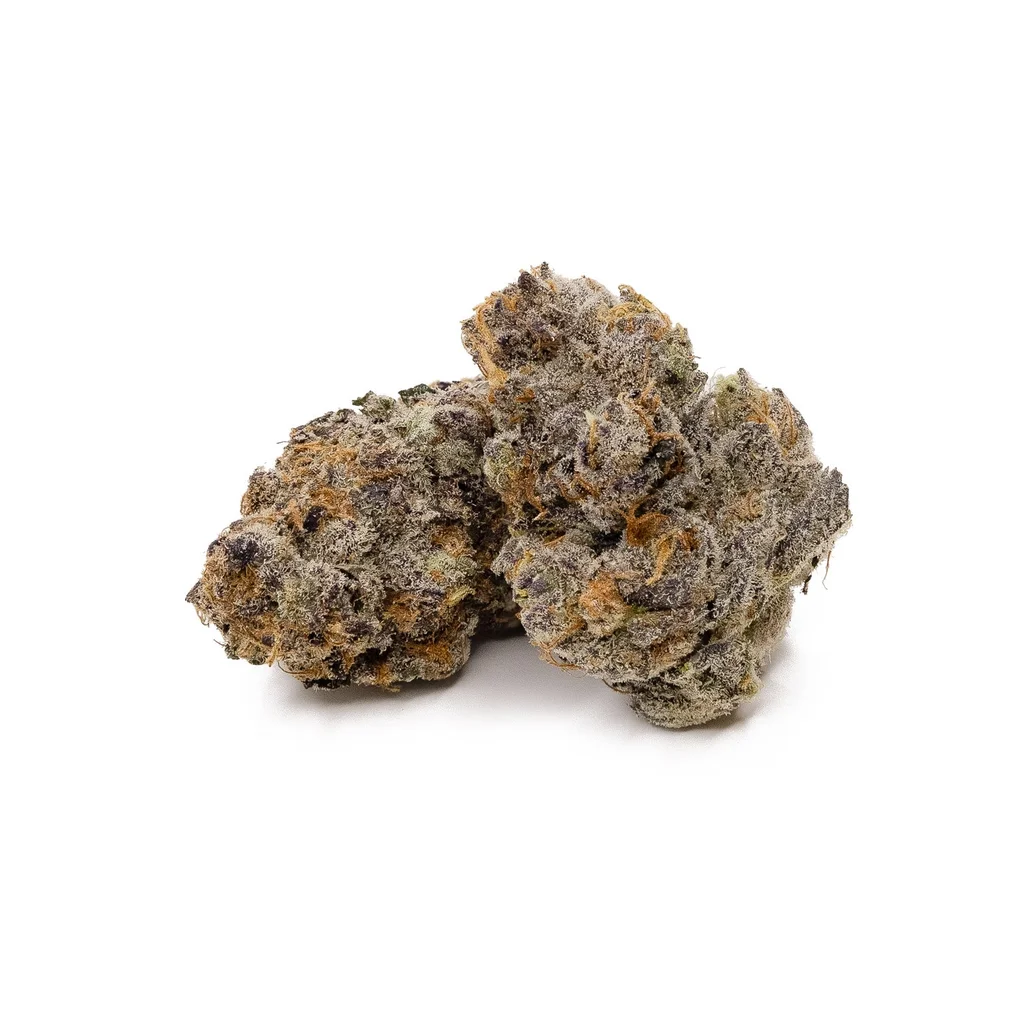WarBird-Mums-02-1