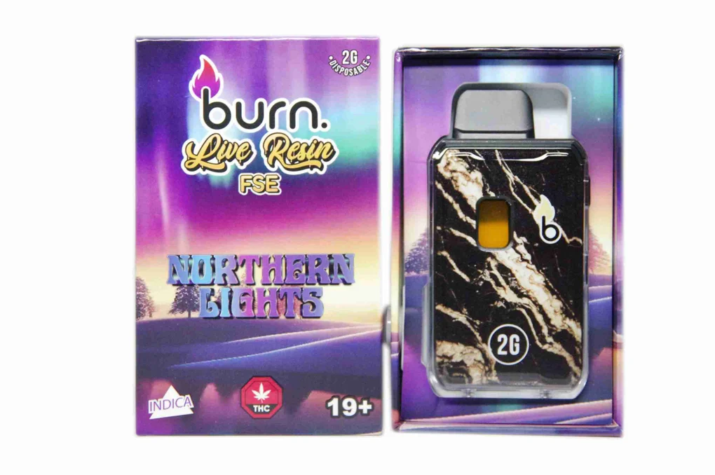 northern-lights-front-scaled-1