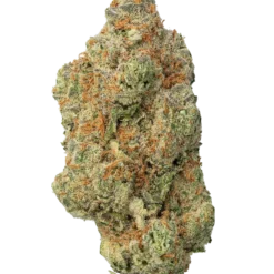 Amnesia Haze-pure-high-dispensary