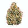 ak47-strain-pure-high-dispensary